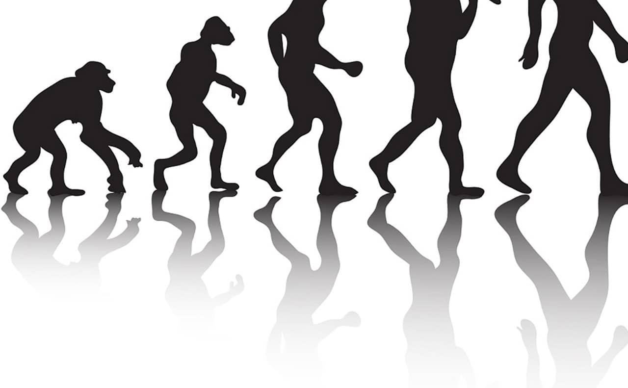Depiction of human evolution in popular culture, wrongly implying that evolution is linear and progressive.