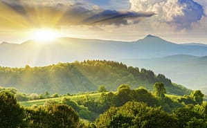 To believe or not to believe evolution